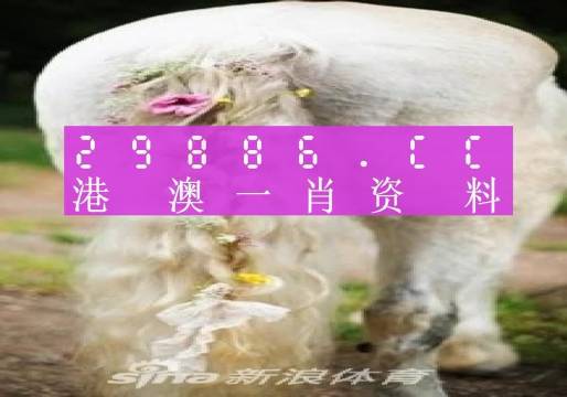 《2004管家婆一肖一码澳门码》是一个令人感兴趣的话题，涵盖了关于博彩、预测和策略等多方面的内容。澳门作为一个著名的博彩中心，吸引了大量的游客和博彩爱好者，尤其是对于那些追求好运和财富的人们而言，掌握一些博彩策略显得尤为重要。在这篇文章中，我们将探讨与《2004管家婆一肖一码澳门码》相关的主题，包括澳门的博彩文化、开奖结果的影响以及如何合理看待和使用博彩信息。